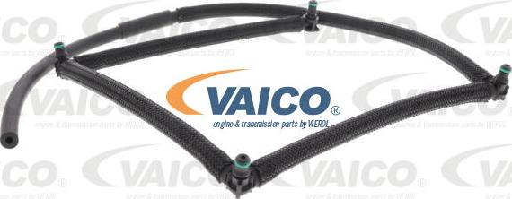 VAICO V42-0858 - Flessibile, Carburante perso www.autoricambit.com