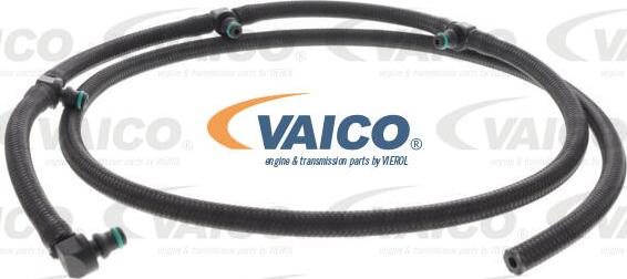 VAICO V42-0864 - Flessibile, Carburante perso www.autoricambit.com