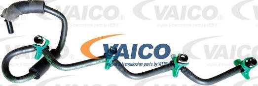 VAICO V42-0865 - Flessibile, Carburante perso www.autoricambit.com