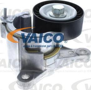 VAICO V42-0202 - Tendicinghia, Cinghia Poly-V www.autoricambit.com