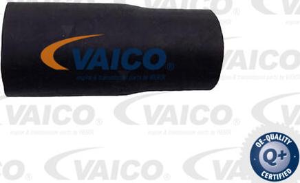 VAICO V42-1024 - Flessibile radiatore www.autoricambit.com