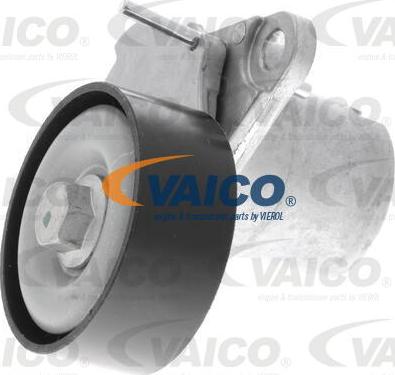 VAICO V10-4962 - Tendicinghia, Cinghia Poly-V www.autoricambit.com