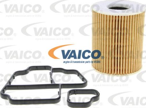 VAICO V10-4437 - Carter, Filtro olio www.autoricambit.com