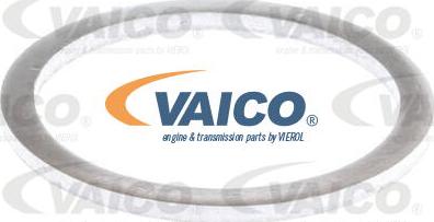 VAICO V10-4524 - Tenditore, Catena distribuzione www.autoricambit.com