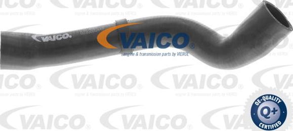 VAICO V10-4667 - Flessibile radiatore www.autoricambit.com