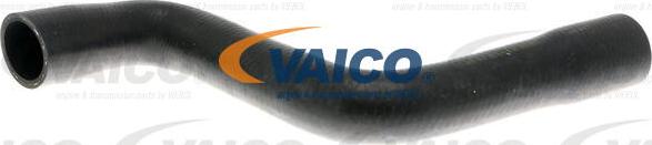 VAICO V10-4813 - Flessibile radiatore www.autoricambit.com
