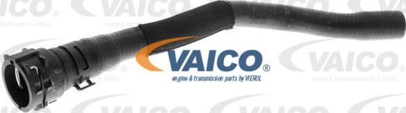 VAICO V10-4756 - Flessibile radiatore www.autoricambit.com