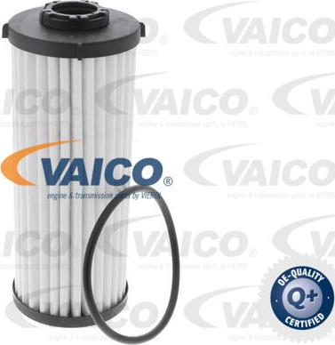 VAICO V10-4991-XXL - Kit componenti, Cambio olio-Cambio automatico www.autoricambit.com