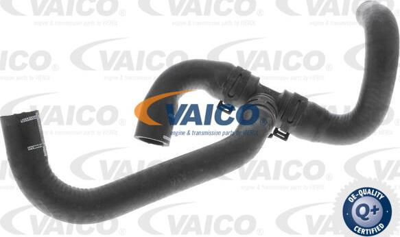 VAICO V10-4777 - Flessibile radiatore www.autoricambit.com