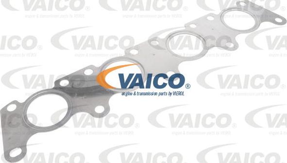 VAICO V10-5094 - Guarnizione, Collettore gas scarico www.autoricambit.com