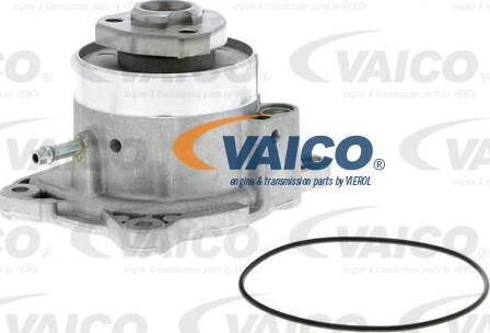 VAICO V10-50081 - Pompa acqua www.autoricambit.com