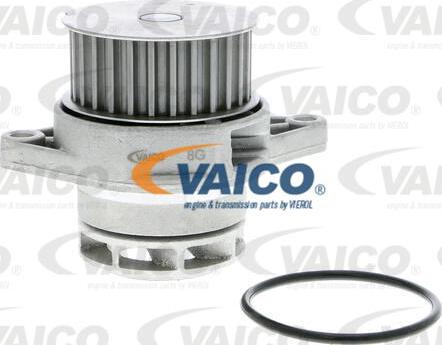 VAICO V10-50037 - Pompa acqua www.autoricambit.com