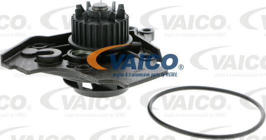 VAICO V10-50072 - Pompa acqua www.autoricambit.com