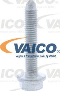 VAICO V10-50109 - Pompa acqua + Kit cinghie dentate www.autoricambit.com