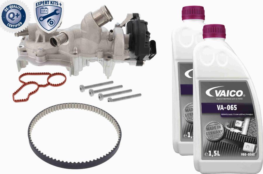 VAICO V10-50114-XXL - Pompa acqua + Kit cinghie dentate www.autoricambit.com