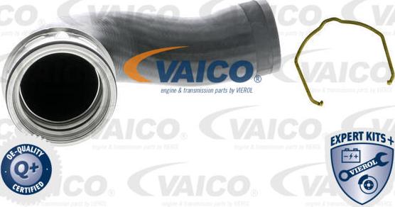 VAICO V10-5315 - Flessibile aria alimentazione www.autoricambit.com