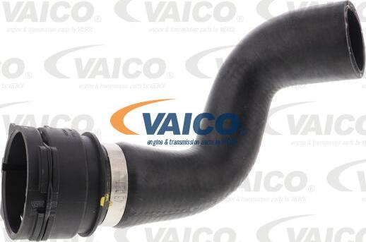 VAICO V10-5754 - Flessibile radiatore www.autoricambit.com