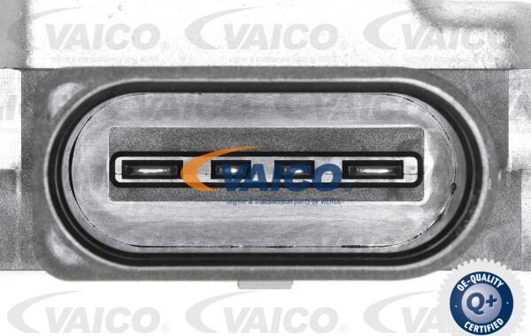 VAICO V10-6991 - Pompa olio, Cambio automatico www.autoricambit.com