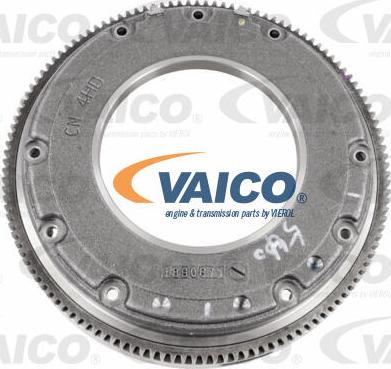 VAICO V10-6576 - Volano www.autoricambit.com