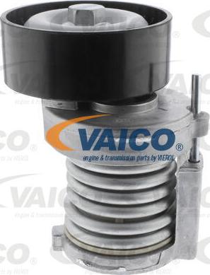 VAICO V10-0550 - Tendicinghia, Cinghia Poly-V www.autoricambit.com