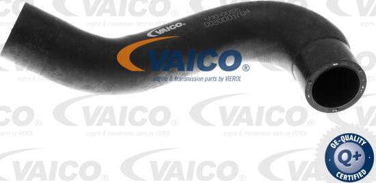 VAICO V10-0055 - Flessibile radiatore www.autoricambit.com