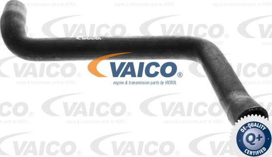 VAICO V10-0073 - Flessibile radiatore www.autoricambit.com