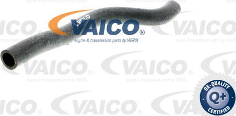 VAICO V10-0388 - Flessibile radiatore www.autoricambit.com