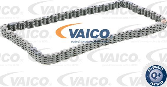 VAICO V10-4457 - Catena distribuzione www.autoricambit.com