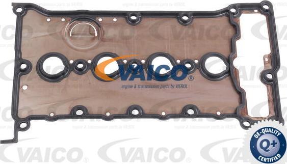 VAICO V10-10007 - Kit catena distribuzione www.autoricambit.com