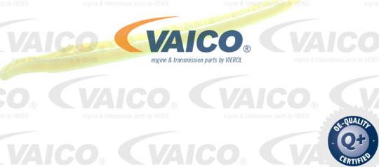 VAICO V10-4470 - Pattino, Catena distribuzione www.autoricambit.com