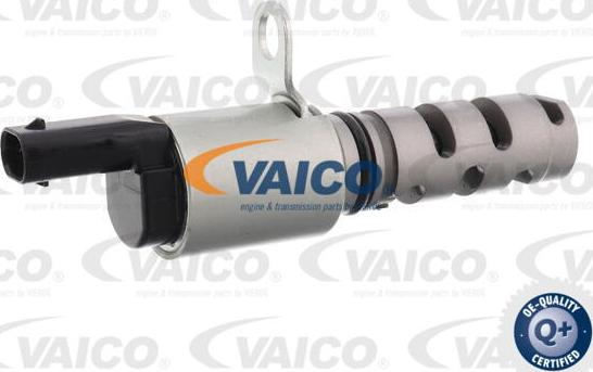 VAICO V10-3926 - Valvola comando, Regolazione albero a camme www.autoricambit.com