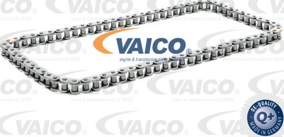 VAICO V10-3402 - Catena, Azionamento pompa olio www.autoricambit.com