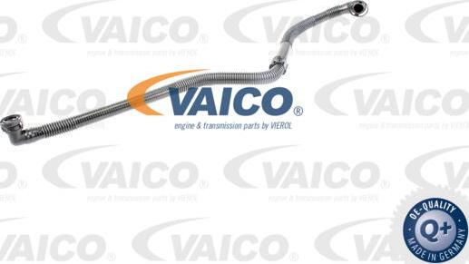 VAICO V10-3597 - Flessibile, Alimentazione aria www.autoricambit.com