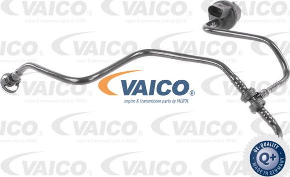 VAICO V10-3581 - Flessibile, Alimentazione aria www.autoricambit.com