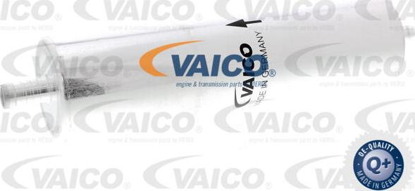 VAICO V10-3848 - Filtro carburante www.autoricambit.com