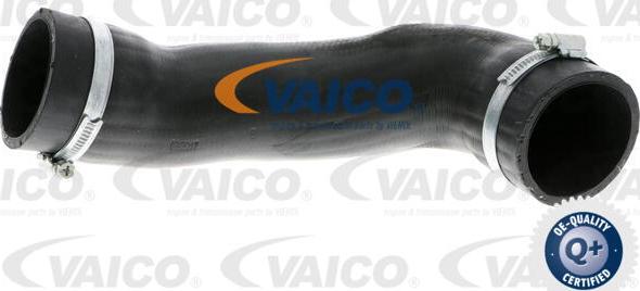 VAICO V10-3805 - Flessibile aria alimentazione www.autoricambit.com