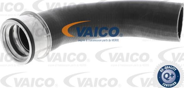 VAICO V10-3802 - Flessibile aria alimentazione www.autoricambit.com