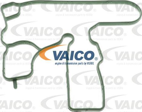 VAICO V10-3884 - Guarnizione, Ventilazione monoblocco www.autoricambit.com