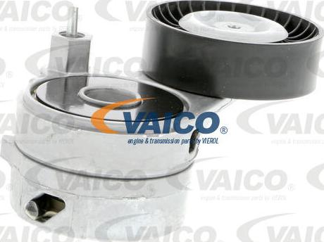 VAICO V10-3871 - Tendicinghia, Cinghia Poly-V www.autoricambit.com