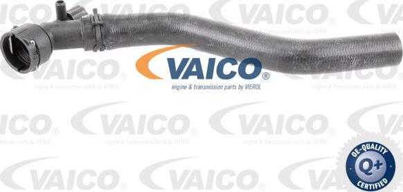 VAICO V10-3205 - Flessibile radiatore www.autoricambit.com