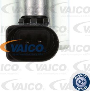 VAICO V10-3731 - Valvola comando, Regolazione albero a camme www.autoricambit.com