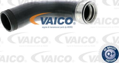 VAICO V10-2699 - Flessibile aria alimentazione www.autoricambit.com