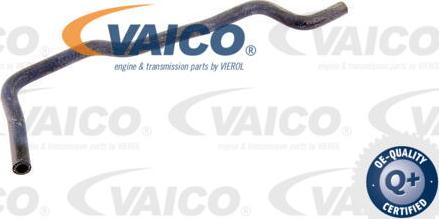 VAICO V10-2815 - Flessibile radiatore www.autoricambit.com