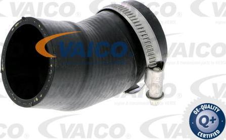 VAICO V10-2828 - Flessibile aria alimentazione www.autoricambit.com