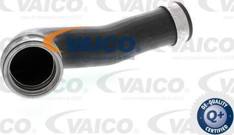 VAICO V10-2700 - Flessibile aria alimentazione www.autoricambit.com