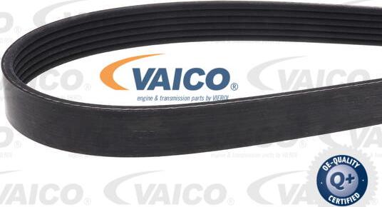 VAICO V10-7957 - Cinghia Poly-V www.autoricambit.com