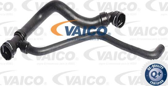 VAICO V10-7567 - Flessibile radiatore www.autoricambit.com