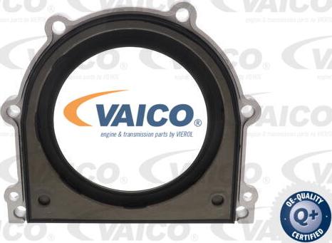 VAICO V30-6142 - Paraolio, Albero a gomiti www.autoricambit.com