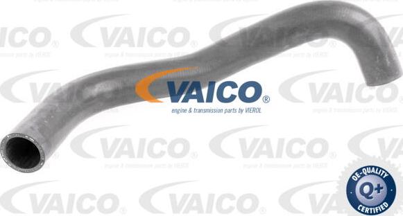 VAICO V30-0251 - Flessibile radiatore www.autoricambit.com