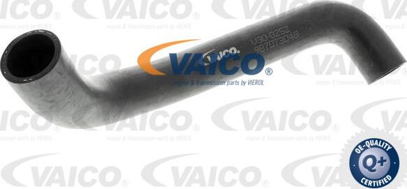 VAICO V30-0252 - Flessibile radiatore www.autoricambit.com
